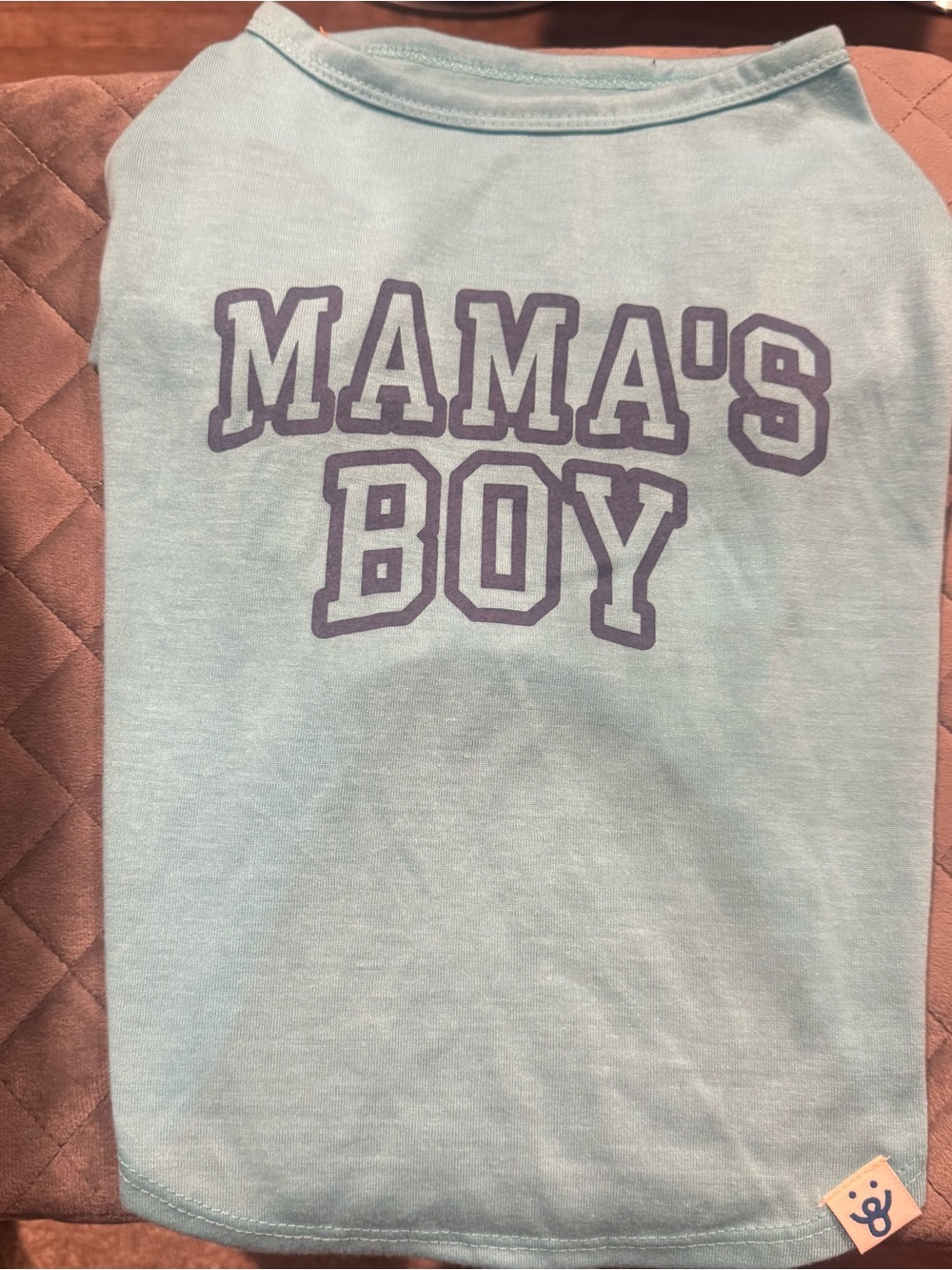 Mama's Boy Light Blue Graphic Tee